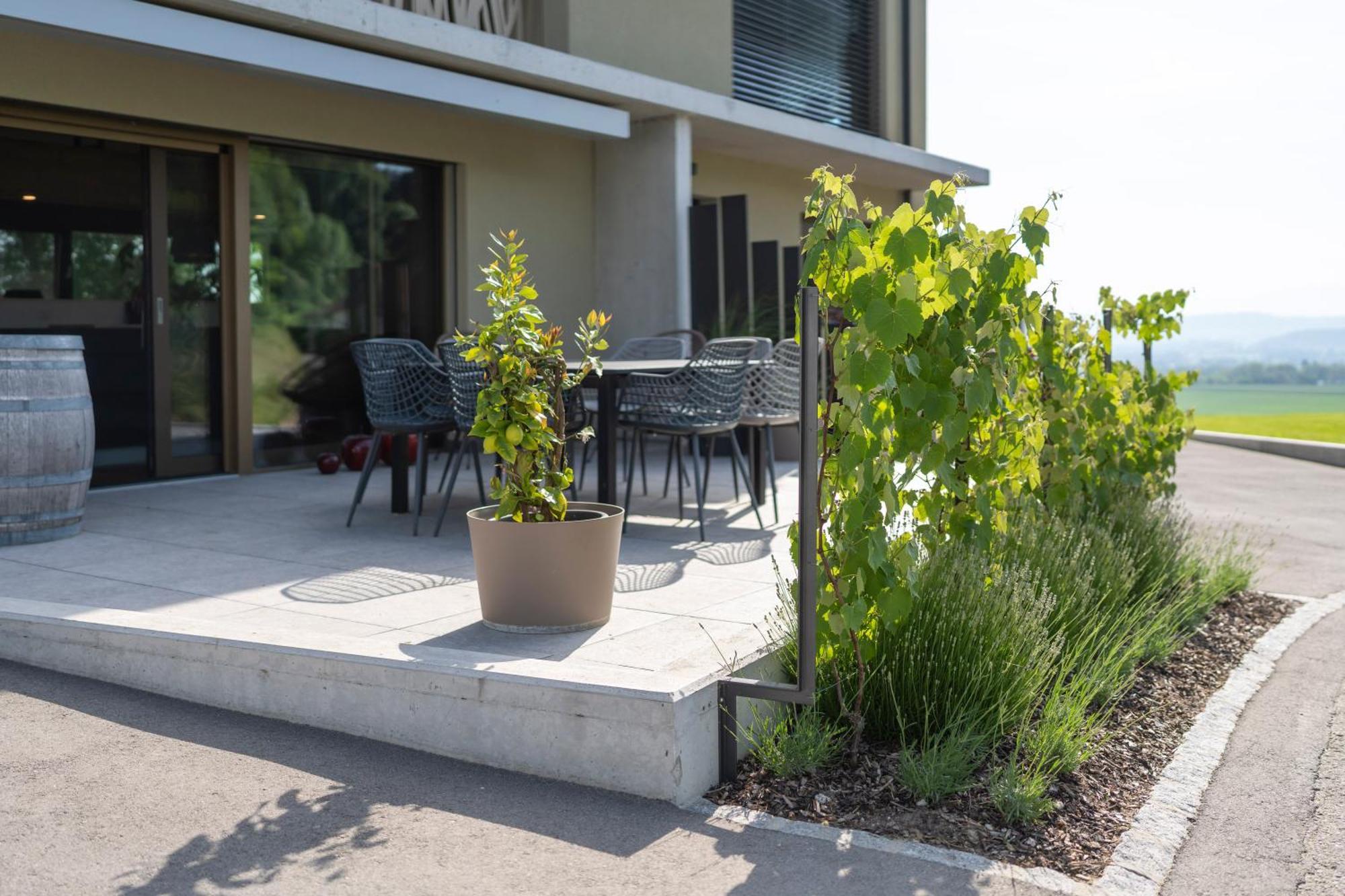 Hotel Le Rive Sud Estavayer-le-Lac Esterno foto